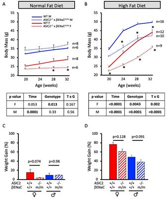 Mice lacking ASIC2 and βENaC are protected from high-fat-diet-induced metabolic syndrome